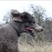 Roger Weeks Photo 14