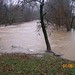 Susan Snead Photo 24