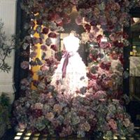 Adele Robertson Photo 25