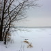 Lawrence Ingle Photo 9