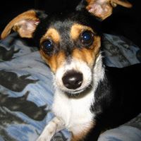 Debra Mcdonald Photo 17