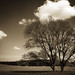 Edgar Howell Photo 12