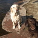 Ann Mahler Photo 9