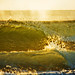 Deon Sharp Photo 7