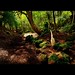 Dean Wood Photo 17