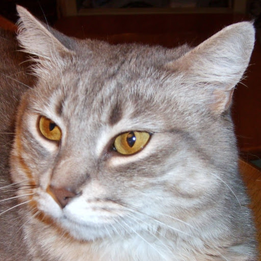 Kathleen Kilpatrick Photo 5