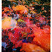 Robyn Fall Photo 14