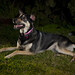 Laura Shepard Photo 14