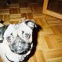 Nancy Doyle Photo 5
