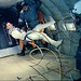 Eva Scott Photo 39