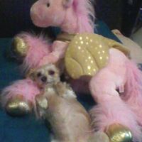 Kimberly Rowland Photo 22