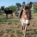 Martha Tack Photo 7