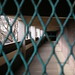 Roger Bacon Photo 40