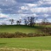 Kenneth Meadows Photo 10