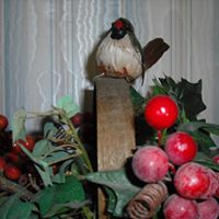 Joyce Thacker Photo 3
