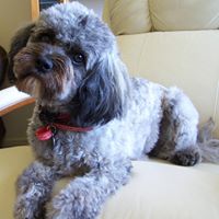 Carol Oldfield Photo 18