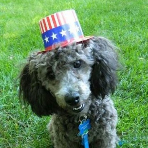 Carol Kieffer Photo 10