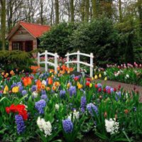 Connie Fox Photo 22