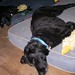 Heather Duckworth Photo 12