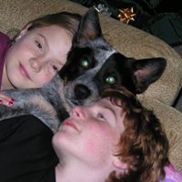 Anne Mcginnis Photo 28