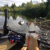 Dave Leopold Photo 9