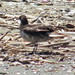 Robin Martyn Photo 10