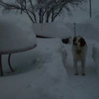 Carol Kinney Photo 16