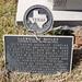 Elizabeth Kilpatrick Photo 8