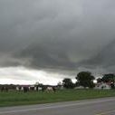 Ann Carson Photo 22
