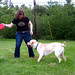 Billy Short Photo 18