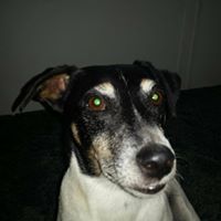 Dewey Gossett Photo 1