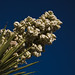 Joshua Power Photo 18