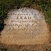 Leah Montgomery Photo 16