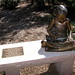 Amy Dougherty Photo 17