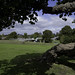 Norman Cooke Photo 18