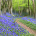Steve Stringer Photo 27