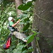 Steve Perlman Photo 14