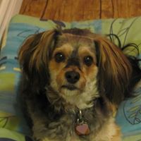 Susan Munday Photo 5