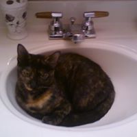 Sandy Lutz Photo 14