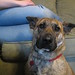 Becky Patton Photo 12