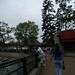 Donald Seals Photo 8