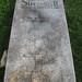Herbert Thomas Photo 28