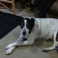Susan Nordstrom Photo 19