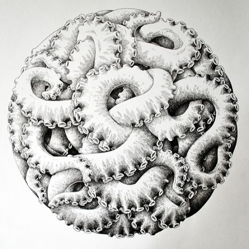 Rogelio Zavala Photo 25