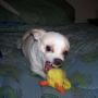 Paula Harmon Photo 38