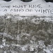 Steven Snow Photo 17