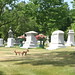 Phillip Stein Photo 10