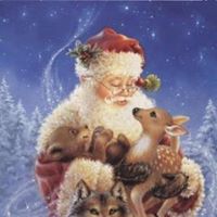 Cheryl Nolte Photo 7