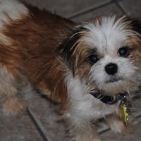 Geraldine Grimes Photo 8