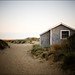 Laurie Cook Photo 13